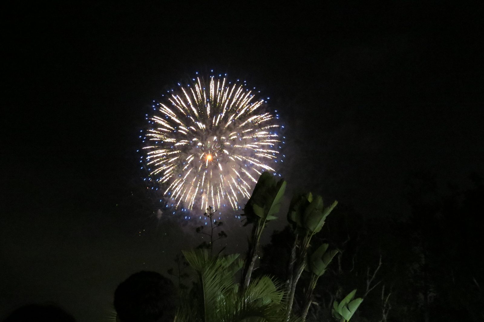 Council approves the SeaWorld master plan, fireworks wind down included, sea level questions still open