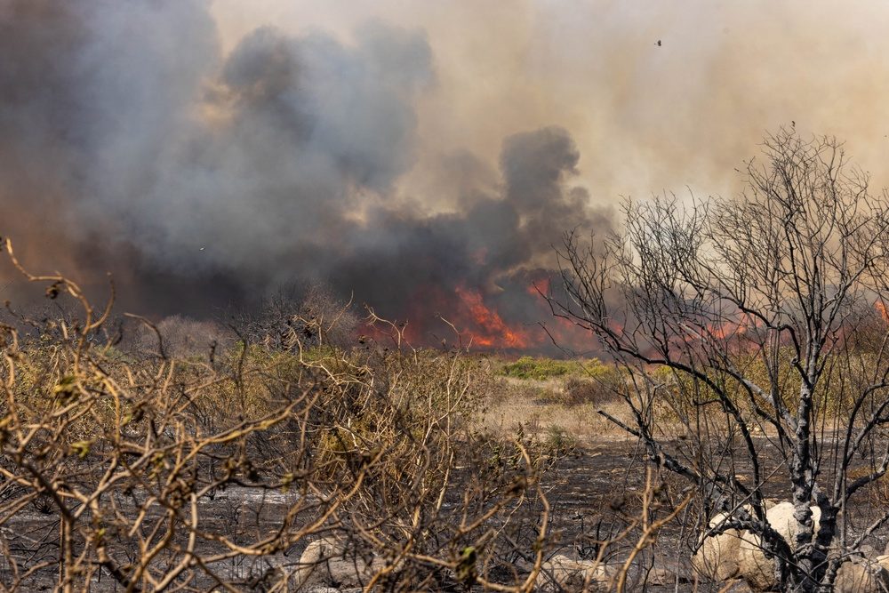 Henderson Fire grows to 2,080 acres on Friday, October 16, and closes Interstate 5 a second time