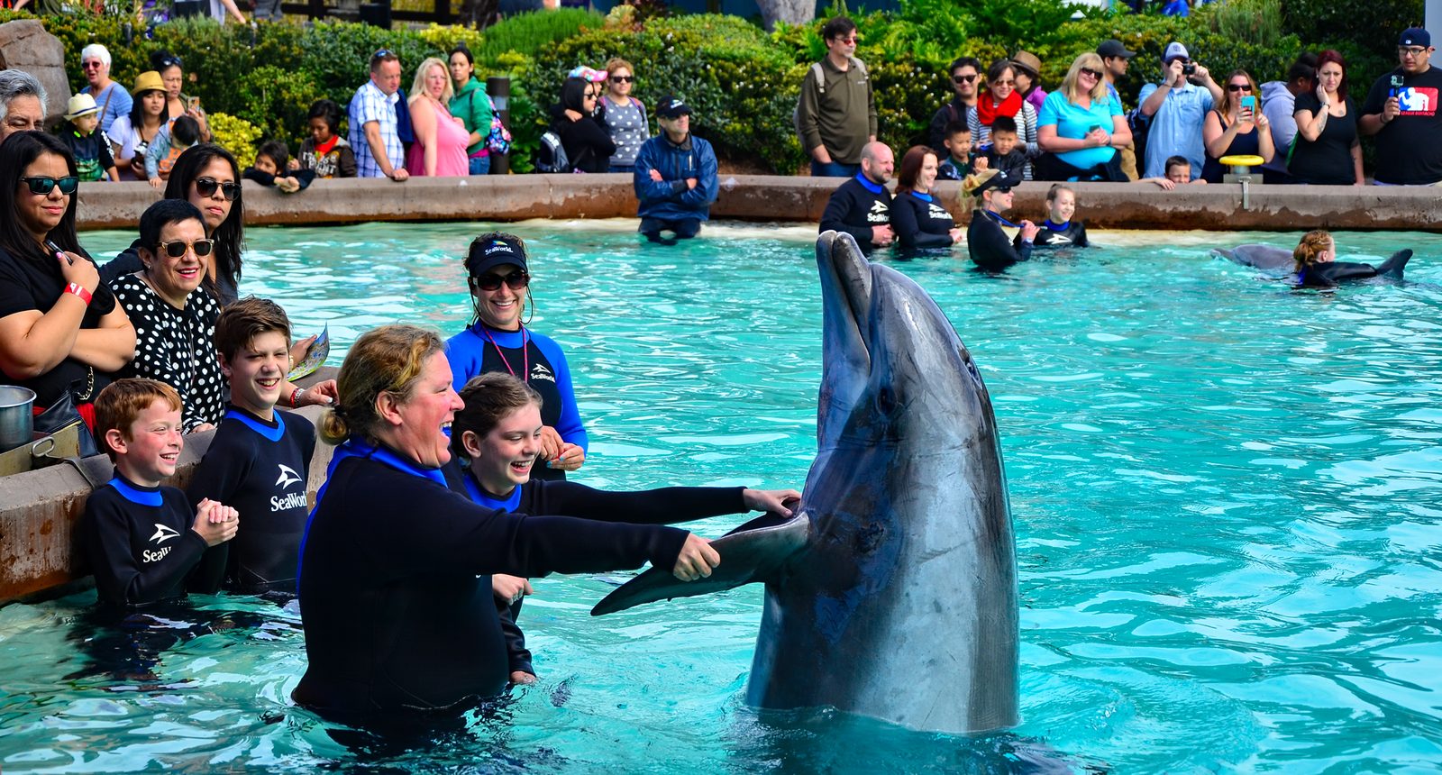 A dolphin encounter at SeaWorld San Diego in 2016, with guests in the water in park wetsuits. The approved plan covers future site enhancements across all five planning areas of the park, from updated attractions to improved visitor facilities.