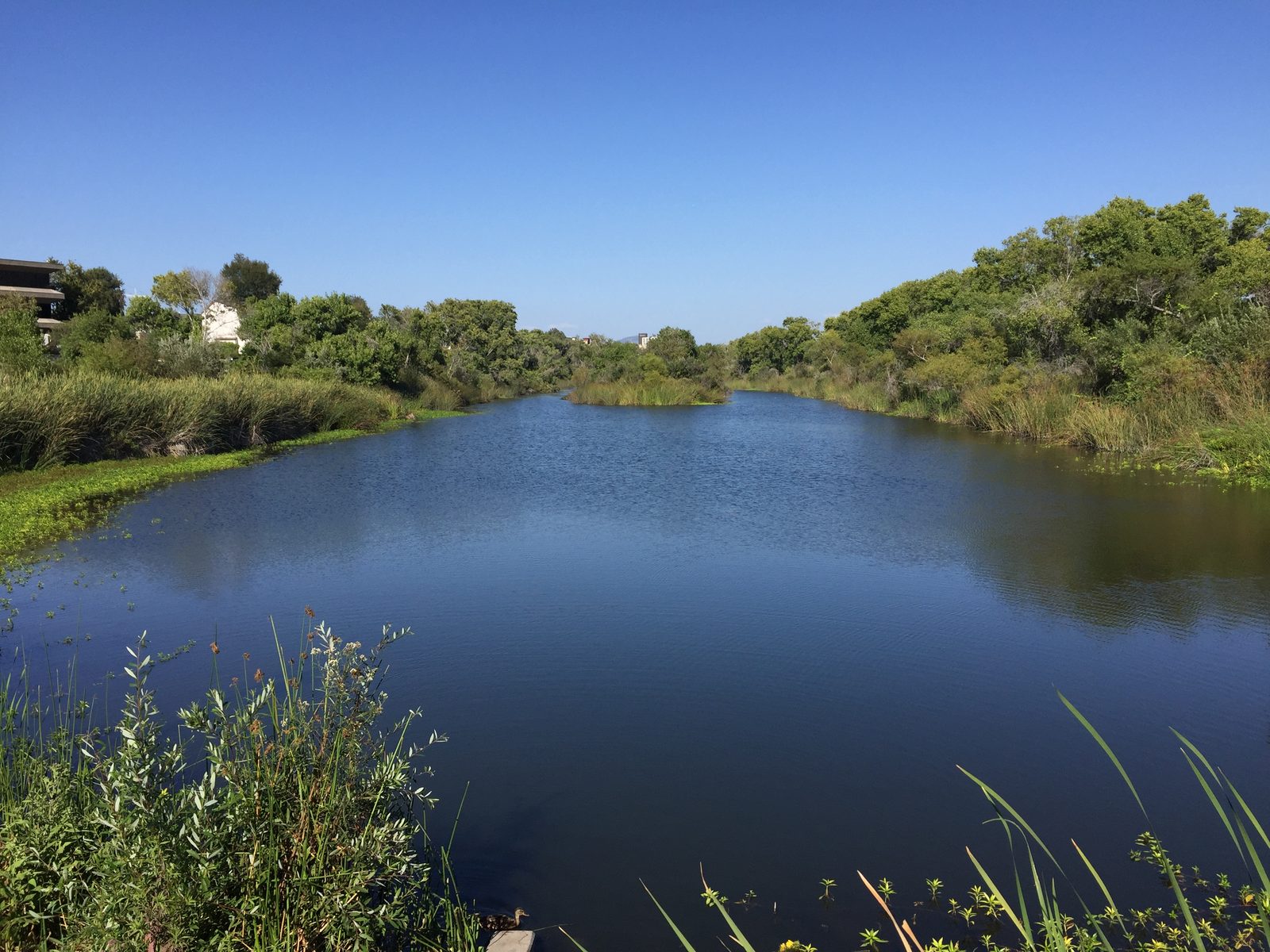 The San Diego River near Mission Center Road in Mission Valley. The National Weather Service issued a flood advisory for the river at Fashion Valley as Rachel's rain arrived Sunday.