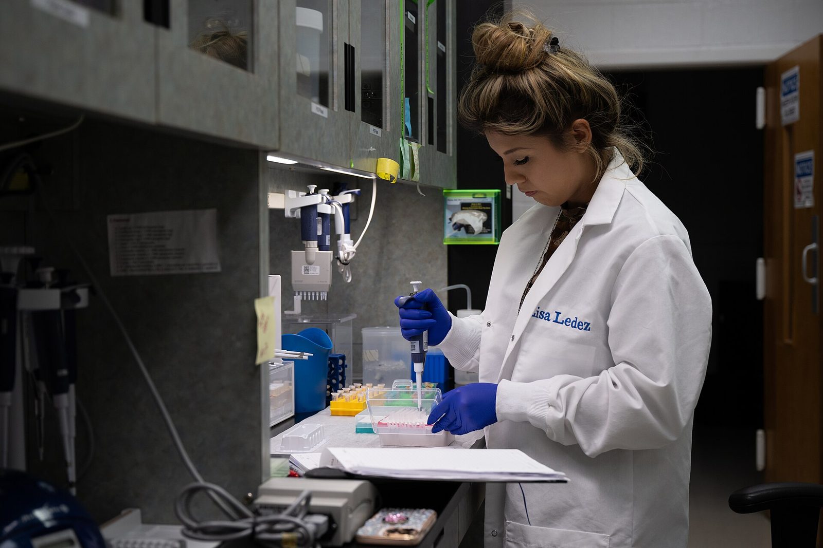 Illustrative image. A laboratory technician prepares samples; rapid whole-genome sequencing grew out of exactly this kind of bench work.